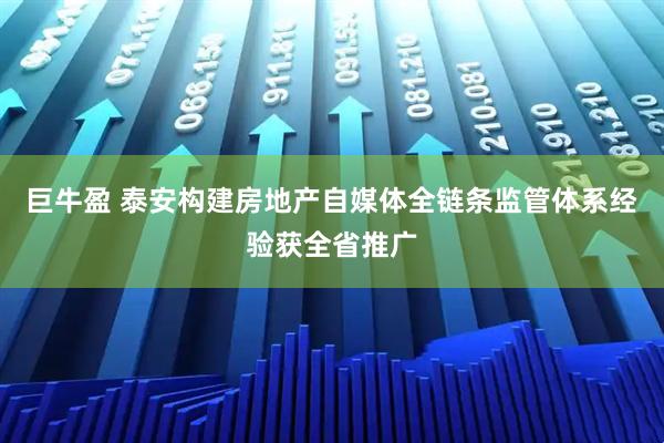 巨牛盈 泰安构建房地产自媒体全链条监管体系经验获全省推广